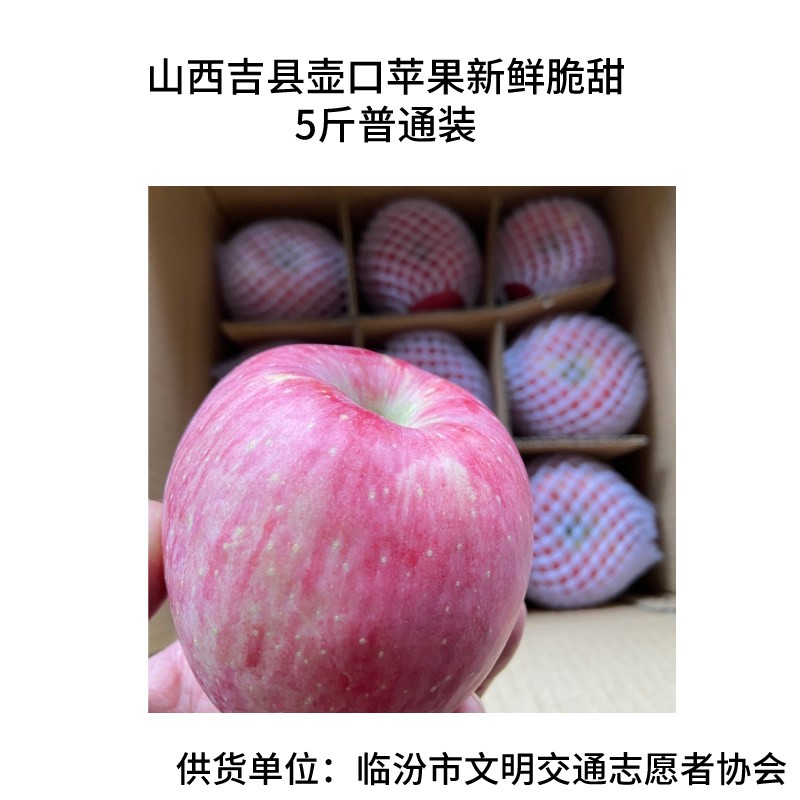 【爱心价】山西吉县壶口苹果红富士新鲜脆甜5斤普通装